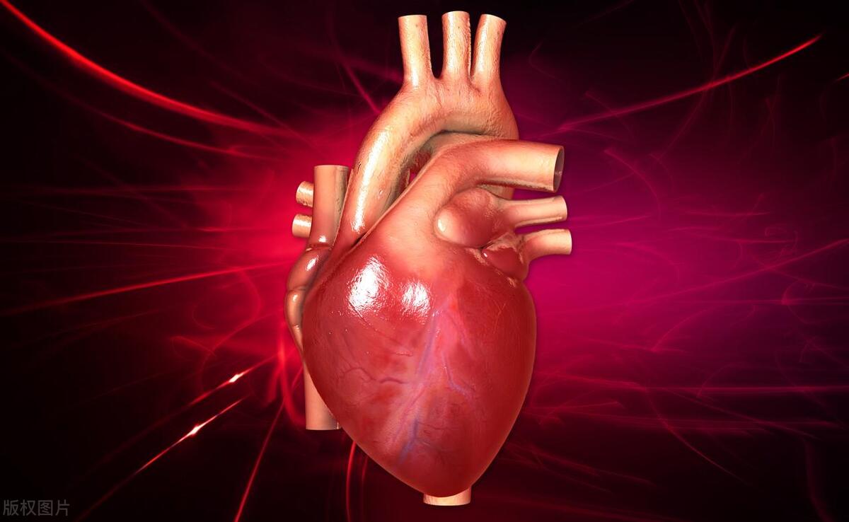 补硒有什么作用(补硒有什么)-硒宝网