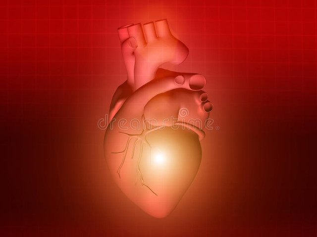 补硒有什么作用(补硒有什么)-硒宝网