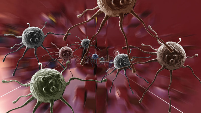 补硒有什么作用（补充硒的作用）-硒宝网