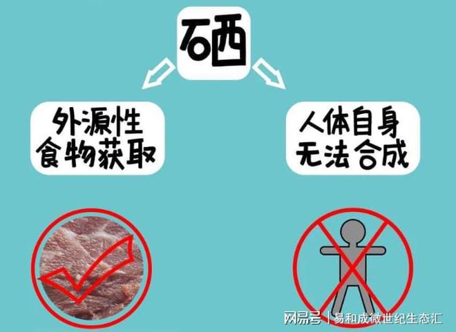 补硒过量怎么解毒(解毒过量补硒有用吗)-硒宝网