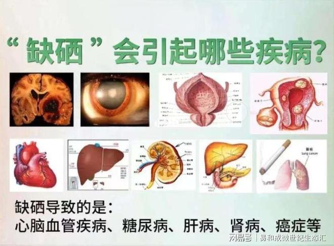 补硒过量怎么解毒(解毒过量补硒有用吗)-硒宝网