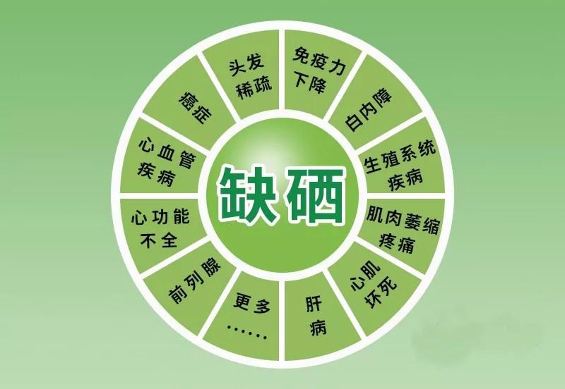 什么人要补硒(补硒很重要吗)-硒宝网