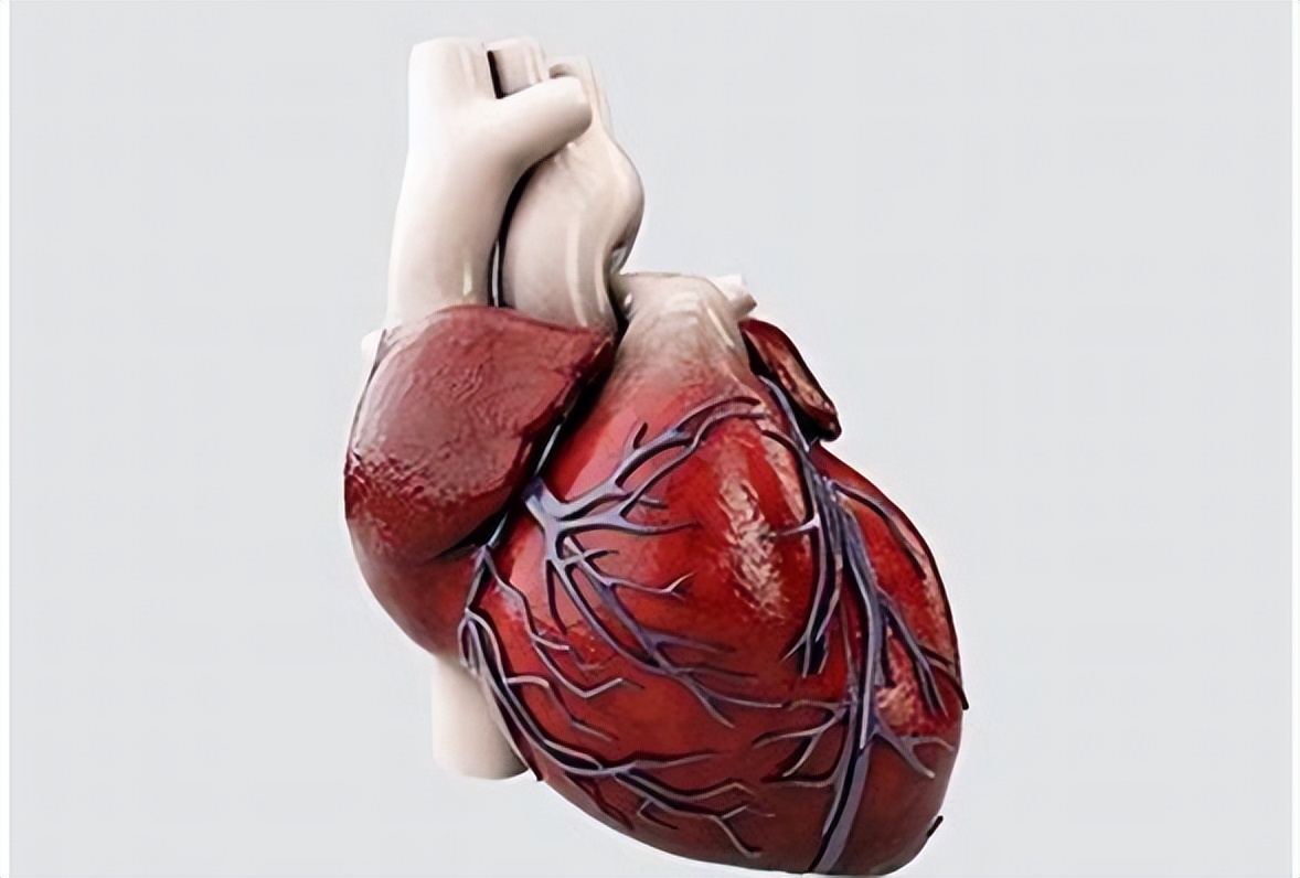 什么人要补硒(补硒很重要吗)-硒宝网