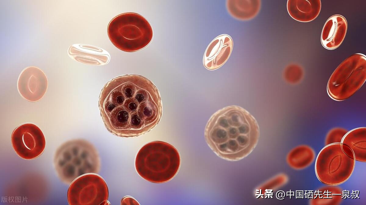 最新补硒制剂是（硒制剂哪有）-硒宝网