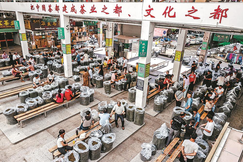 福建安溪茶叶（福建省安溪茶叶）-硒宝网