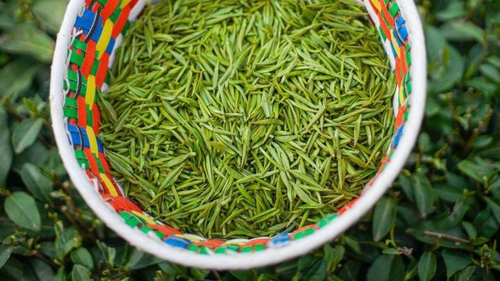 湖北恩施产什么茶(湖北恩施茶叶)-硒宝网