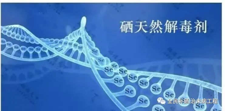 人体补硒标准(人体硒含量标准)-硒宝网