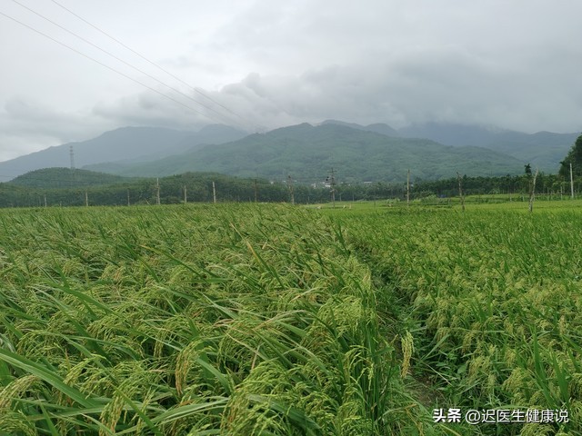人需要长期补硒吗(人体需要补硒)-硒宝网