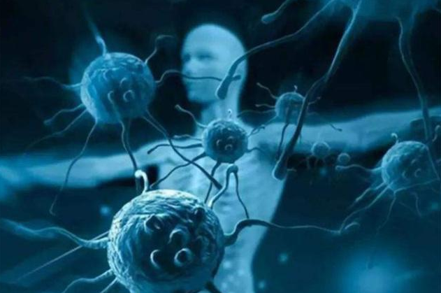 女性补硒能促进怀孕（怀孕妇女可以补硒吗）-硒宝网