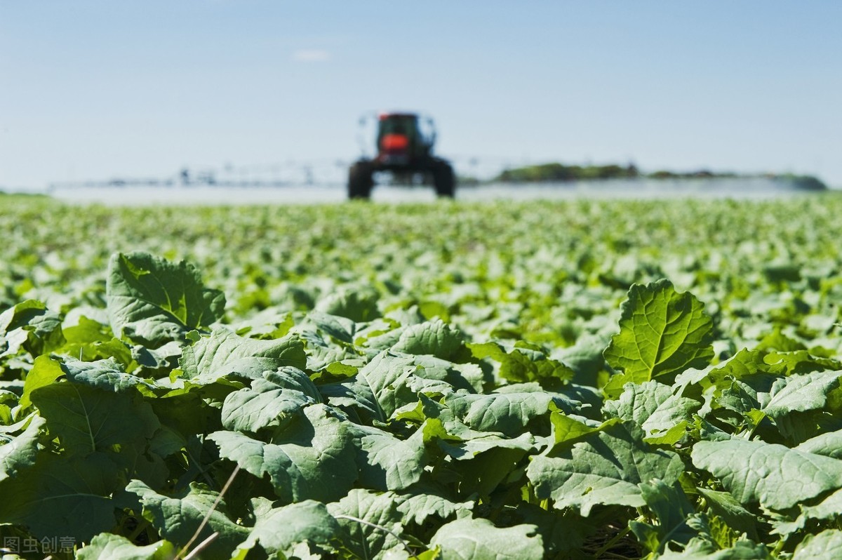 富硒种植技术(种植富硒技术视频)-硒宝网