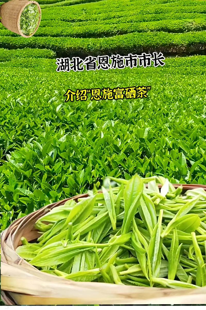 湖北恩施有什么茶（湖北恩施名茶）-硒宝网