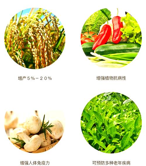 富硒种植技术（如何种植富硒的农作物）-硒宝网