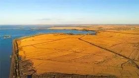 老年人补硒多少毫克（补硒可以提高老年人的健康水平）-硒宝网