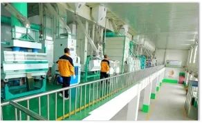 老年人补硒多少毫克（补硒可以提高老年人的健康水平）-硒宝网