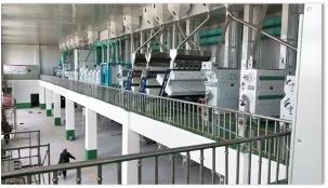 老年人补硒多少毫克（补硒可以提高老年人的健康水平）-硒宝网