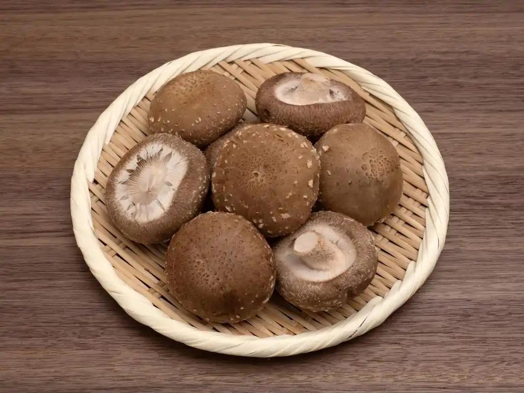 补硒元素的药物（药物补元素硒的作用）-硒宝网