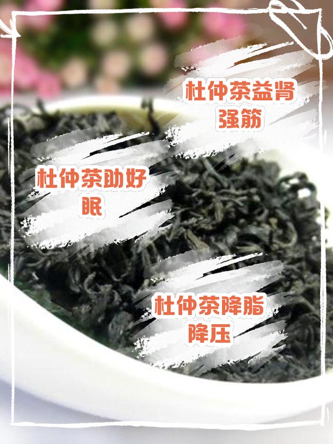 杜仲茶叶的功效(杜仲茶茶)-硒宝网