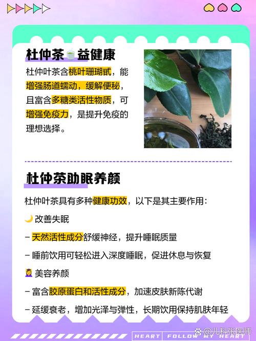 杜仲茶叶的功效(杜仲茶茶)-硒宝网