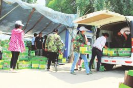 奇村富硒西瓜（富硒西瓜价格）-硒宝网