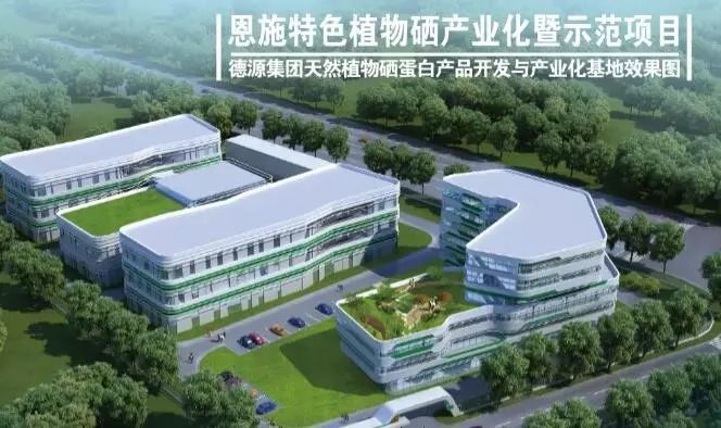 补硒十大排行榜（补硒产品哪个品牌好）-硒宝网