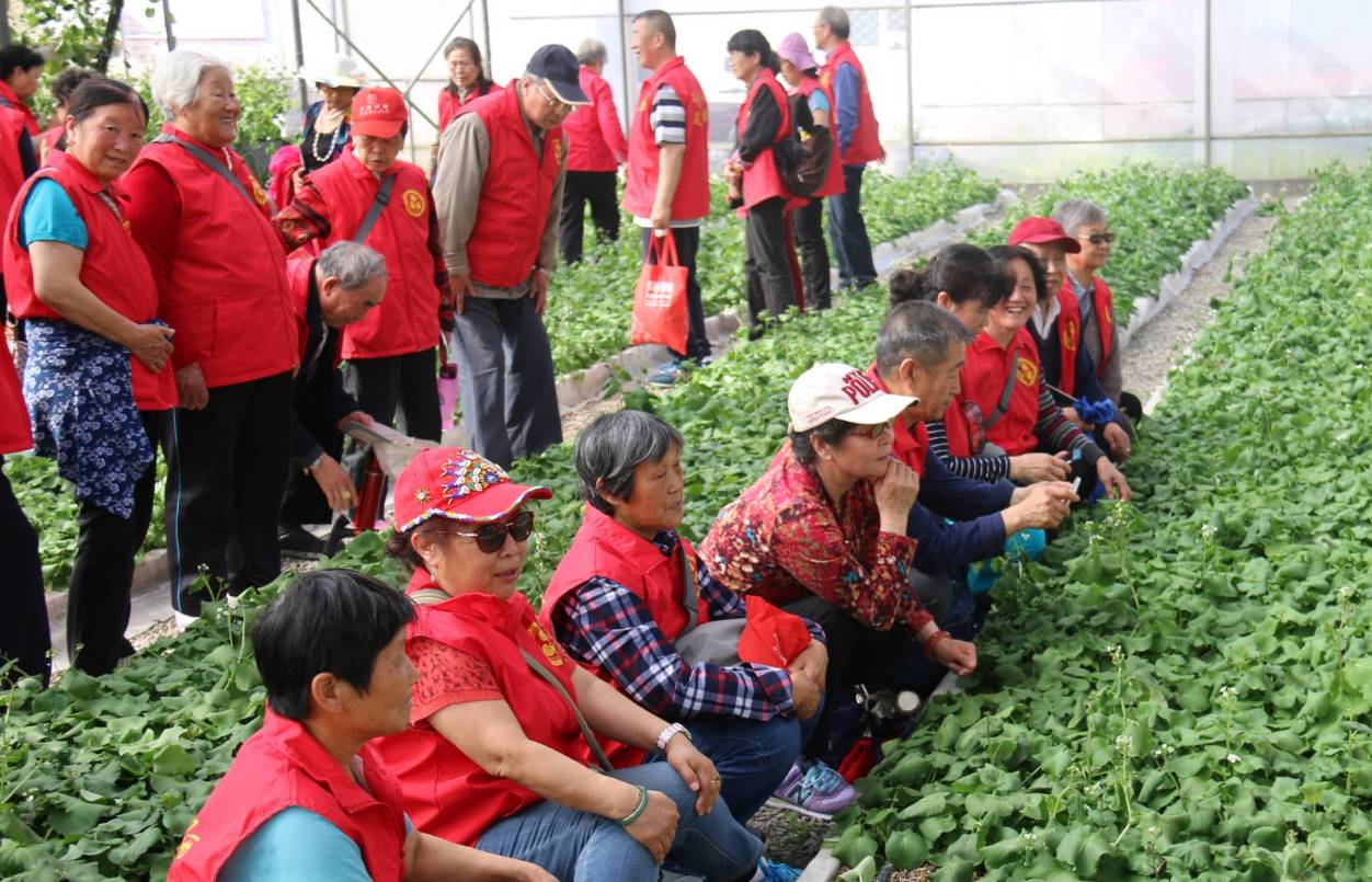 补硒十大排行榜（补硒产品哪个品牌好）-硒宝网