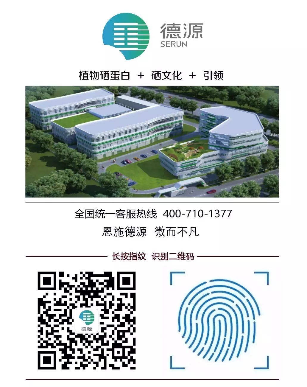 补硒十大排行榜（补硒产品哪个品牌好）-硒宝网