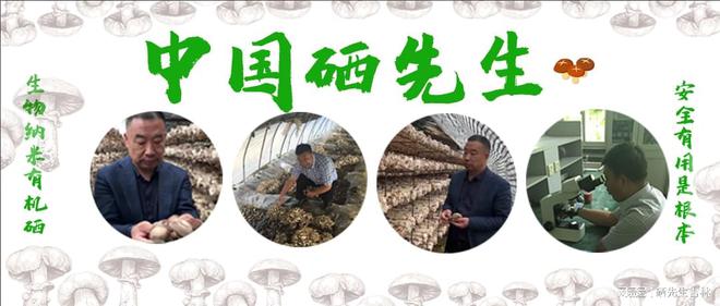 补硒哪种硒最好(硒补充剂有哪些)-硒宝网