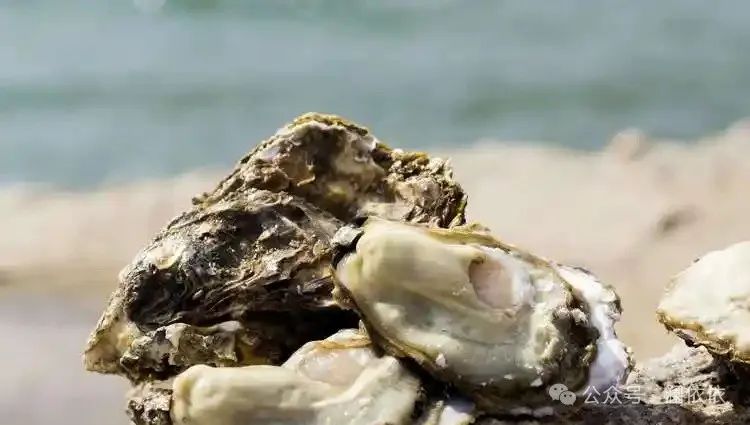 补硒十大排行榜（最好补硒产品）-硒宝网