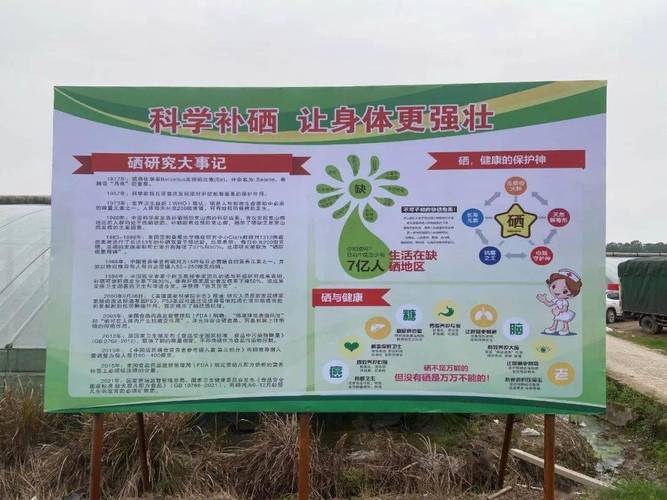 全民科学补硒养生工程（全民科学补硒养生公益活动）-硒宝网