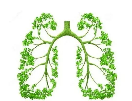 补硒可以长期补吗（硒可以长期补吗）-硒宝网