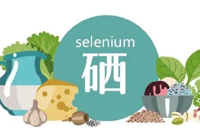 什么食物能补硒(补补硒的食物)-硒宝网