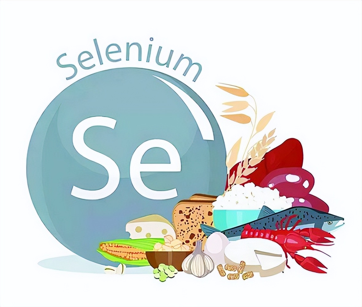 什么食物能补硒(补补硒的食物)-硒宝网