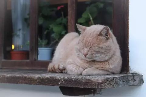 宝宝补硒的食物有哪些（宝宝补硒产品）-硒宝网