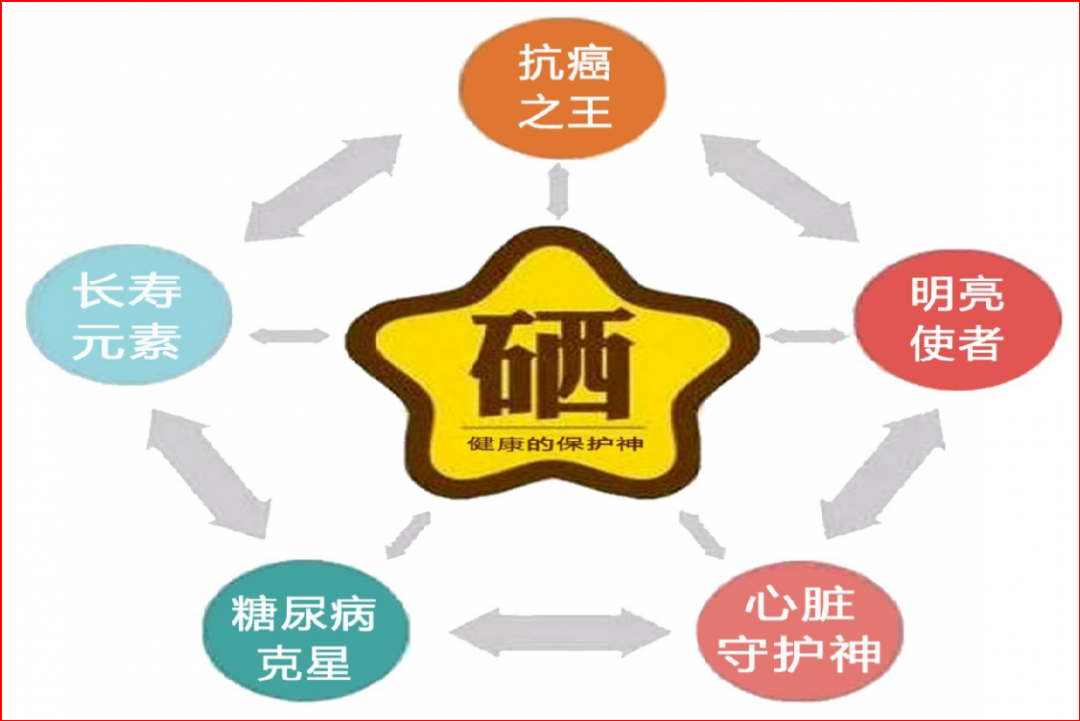 补什么硒最好（科学补硒）-硒宝网