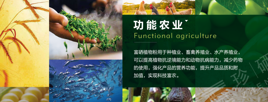 日本有啥补硒产品(日本专家谈硒)-硒宝网