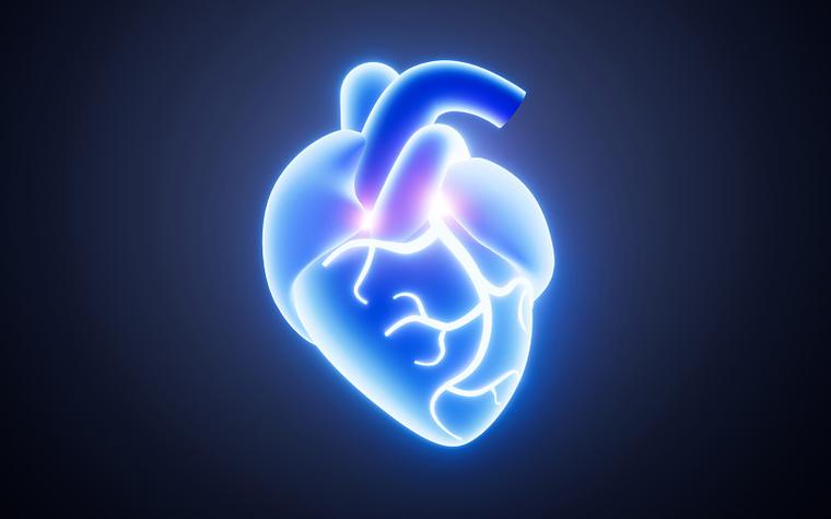 哪种食物补硒效果好（补硒的食物排行榜前十名）-硒宝网