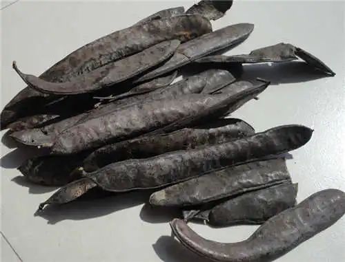 吃锌和硒能补什么(锌硒能随便补吗)-硒宝网