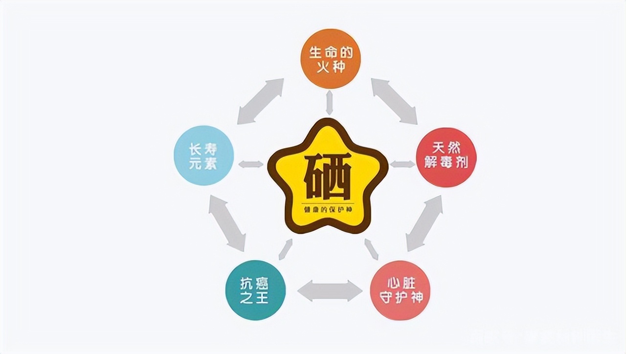 哪种食物补硒效果好（补硒食补）-硒宝网