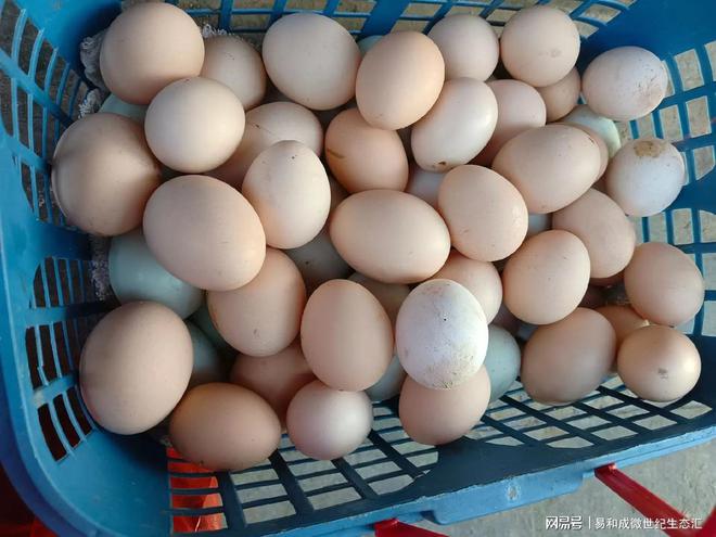 每天补硒多少毫克(每天补硒多少合适)-硒宝网