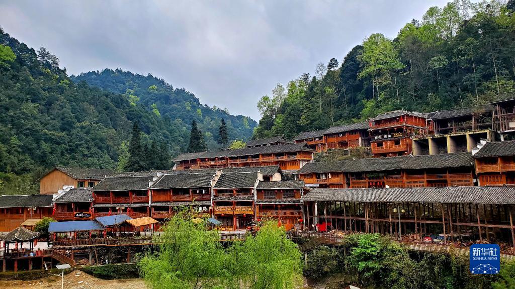 藤茶有什么用(藤茶的用法)-硒宝网