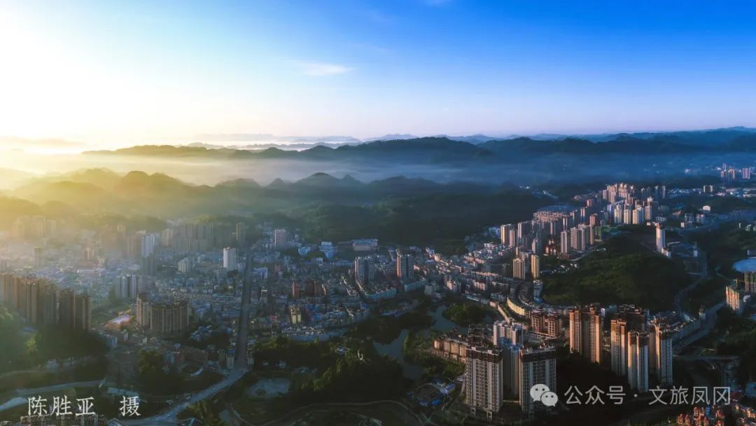 林仙康锌硒茶(锌硒茶官方网站)-硒宝网