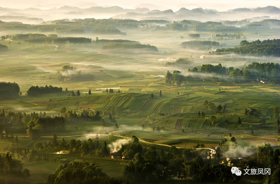林仙康锌硒茶(锌硒茶官方网站)-硒宝网