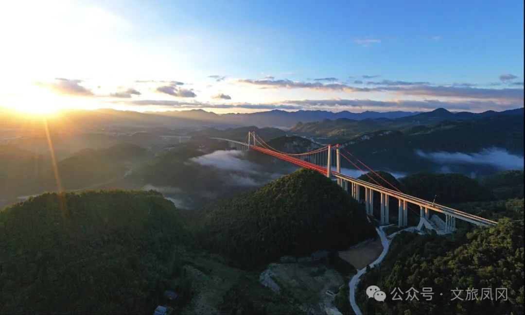 林仙康锌硒茶(锌硒茶官方网站)-硒宝网