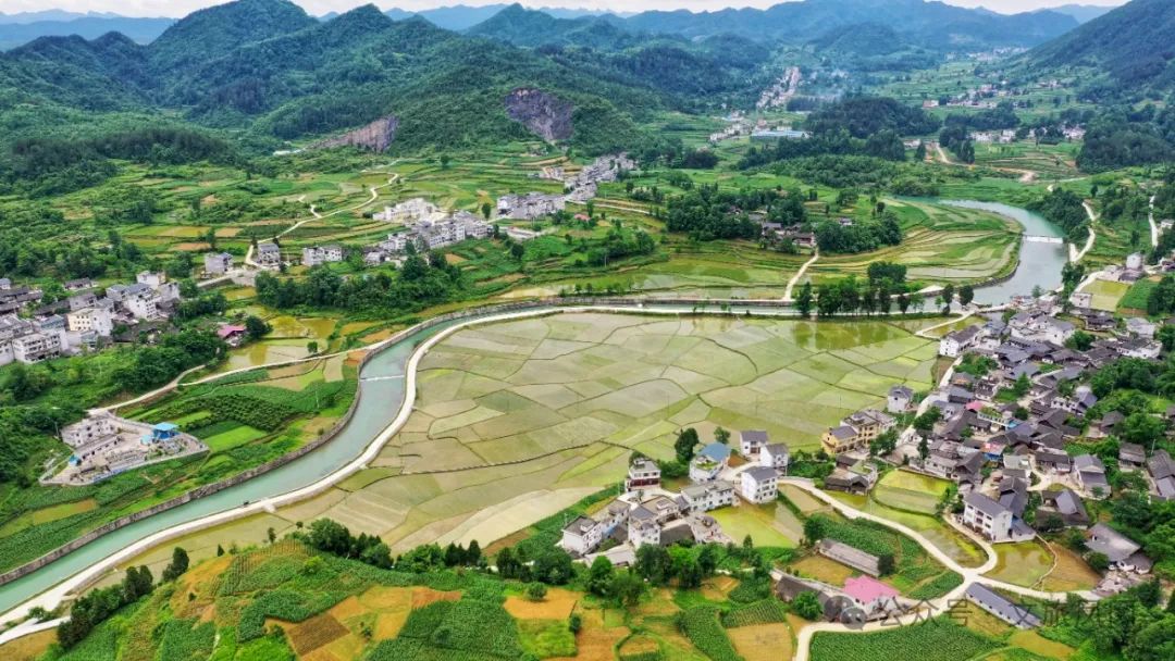 林仙康锌硒茶(锌硒茶官方网站)-硒宝网