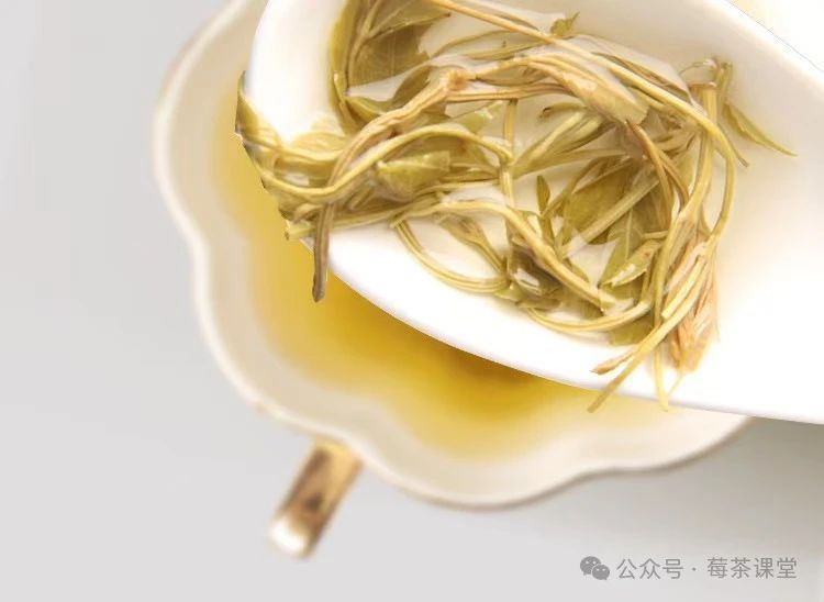 藤茶有什么用(藤茶的用法)-硒宝网