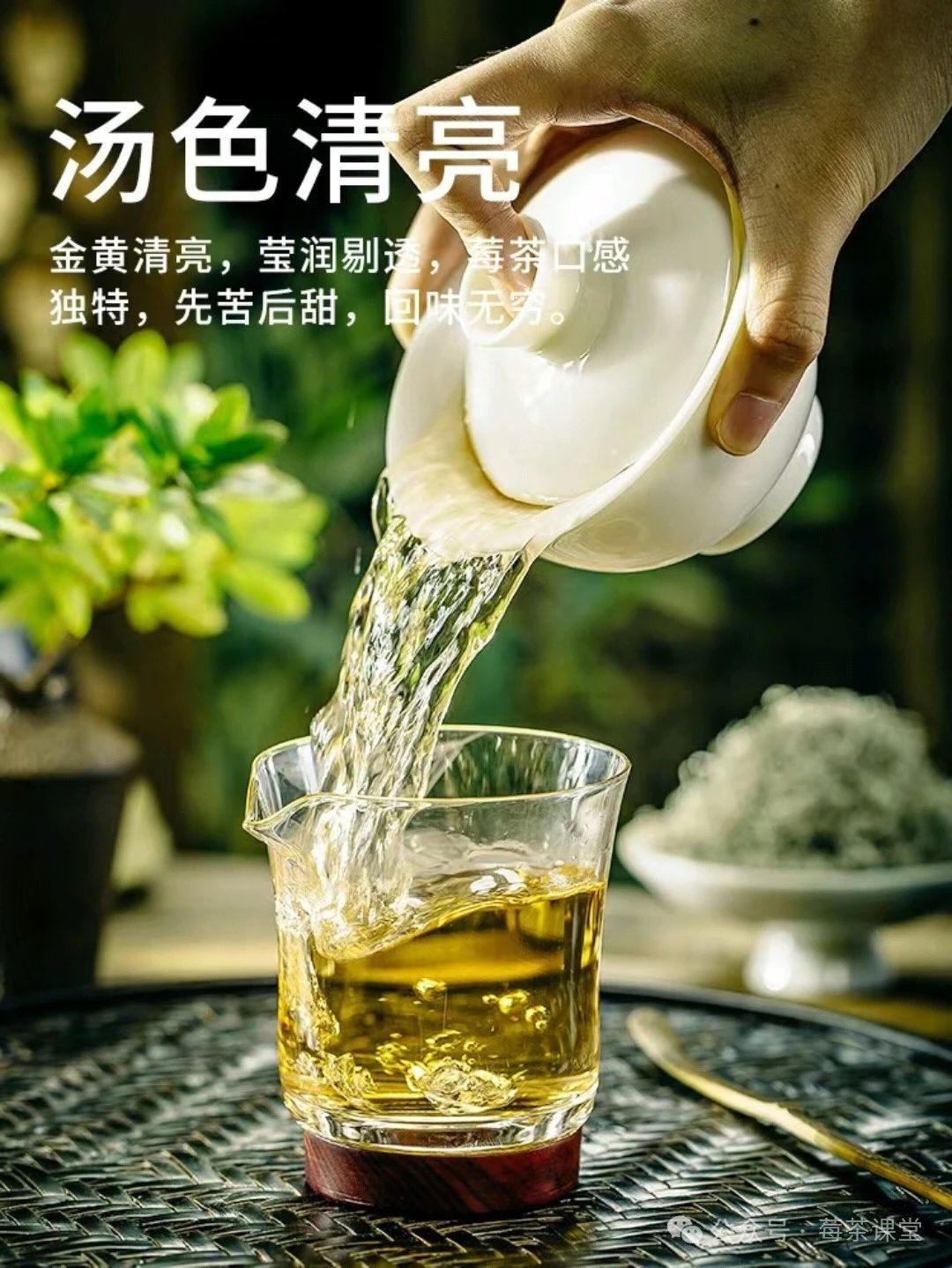 藤茶有什么用(藤茶的用法)-硒宝网