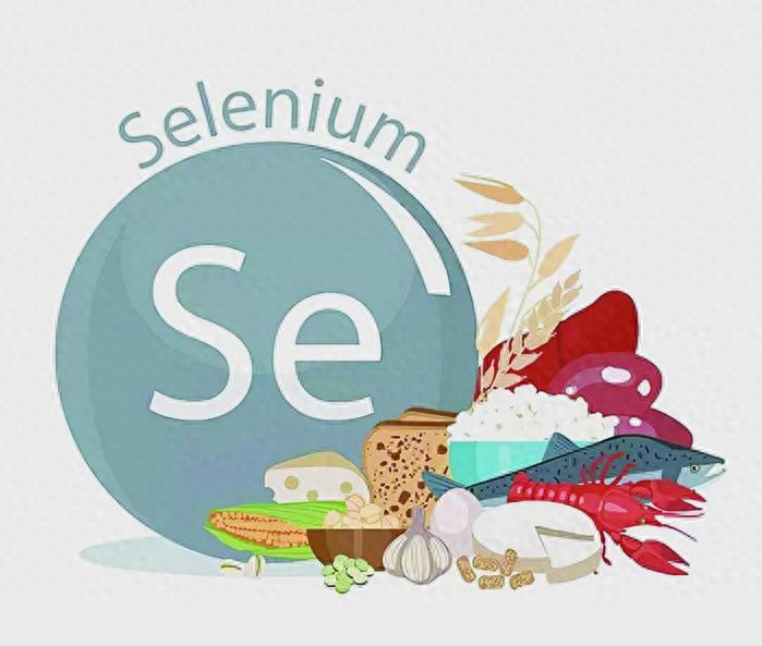 补硒的产品有哪些（补硒食品）-硒宝网
