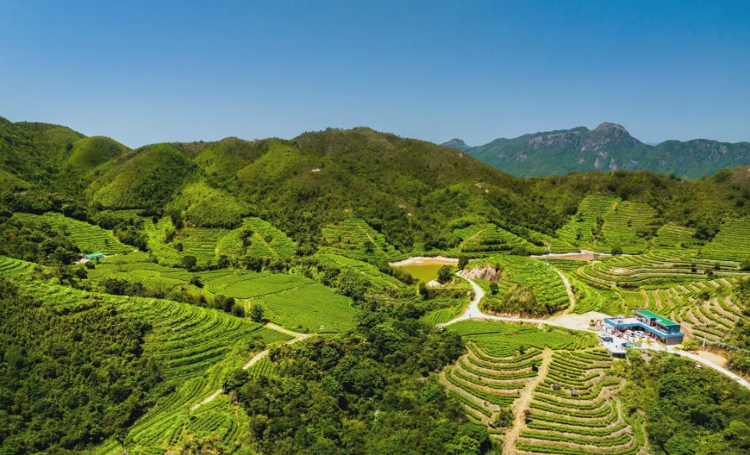 补硒的产品有哪些（补硒食品）-硒宝网