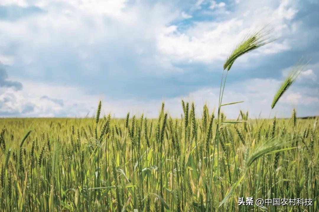 十大富硒地区(富硒地区排名)-硒宝网