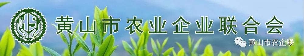 含硒茶叶有哪些(茶叶富含硒)-硒宝网